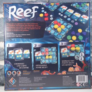 Reef (02)